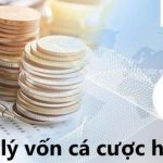 Quản lý vốn có tầm quan trọng gì trong cá cược trực tuyến - 8xbet